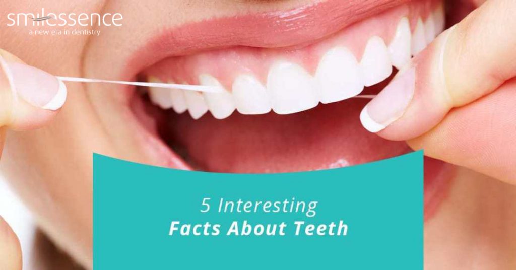 5 Interesting Facts About Teeth